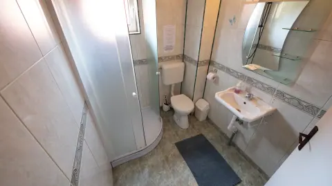Bathroom with shower, basin and natural light
